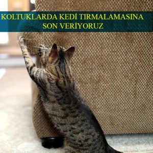 Evcil Hayvanlara Özel Koltuk Kumaşları 2