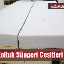 Koltuk-Sungeri-Cesitleri