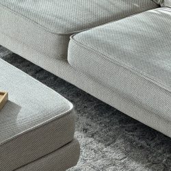 Sünger temel şeklin yapı taşlarından biri